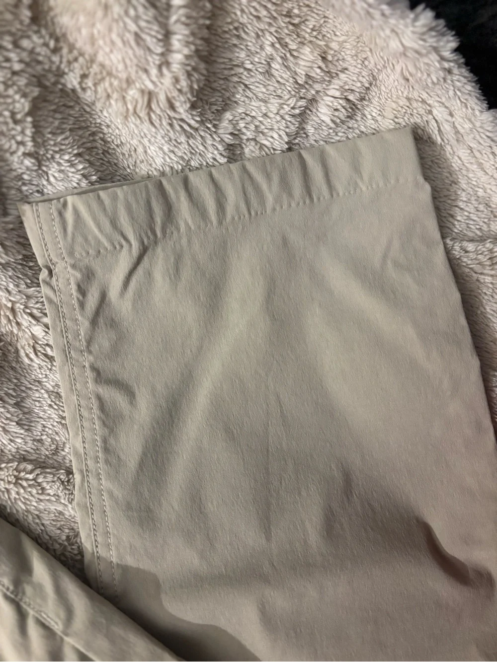 The North Face Men's Light Tan Performance pants
